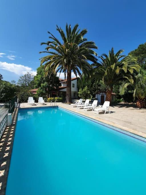 Villa Dreams And Friends On The Coast Of Bilbao. Getxo Exterior foto